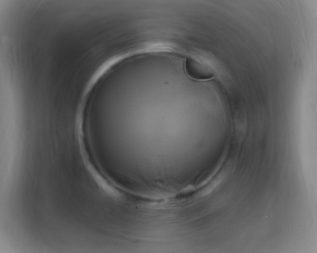 X0000113181422200909111045