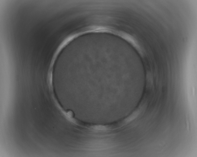 X0000113181424200909111045