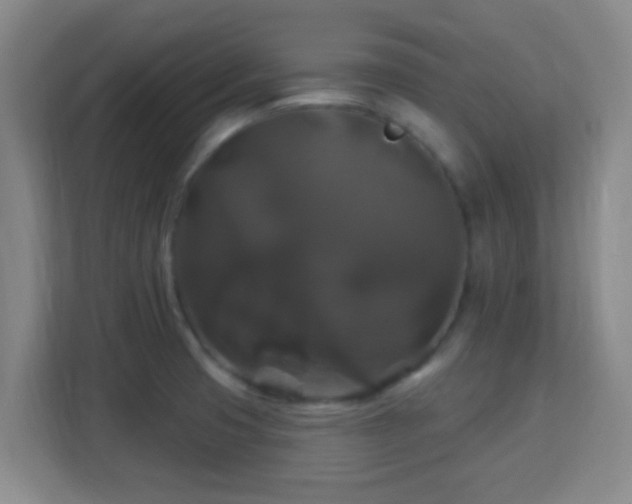 X0000113181425200909111045