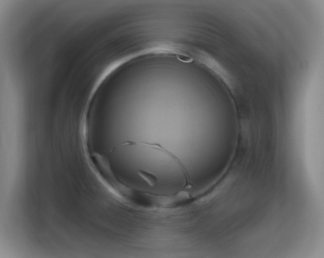 X0000113181428200909111045