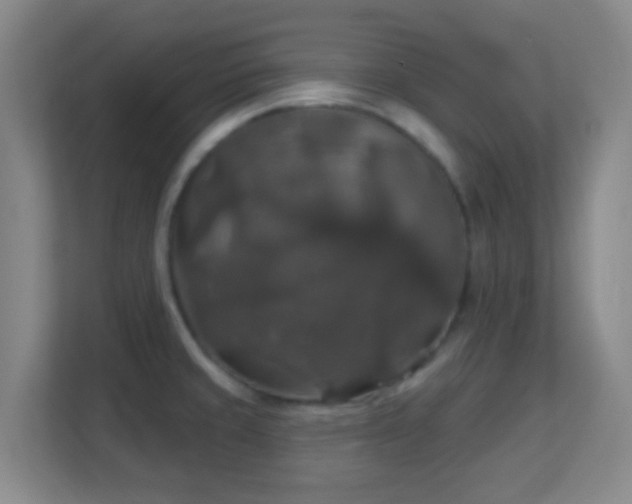 X0000113181429200909111045