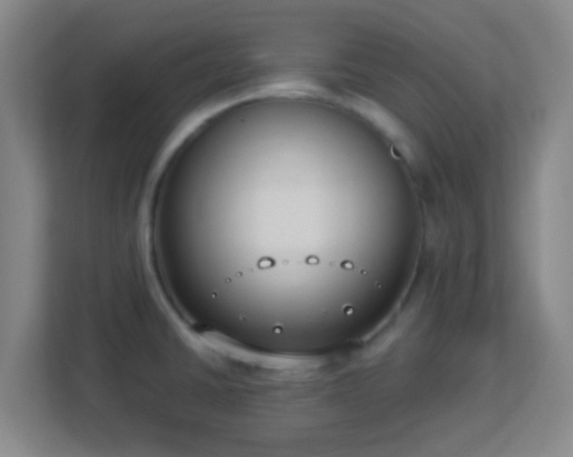 X0000113181430200909111045