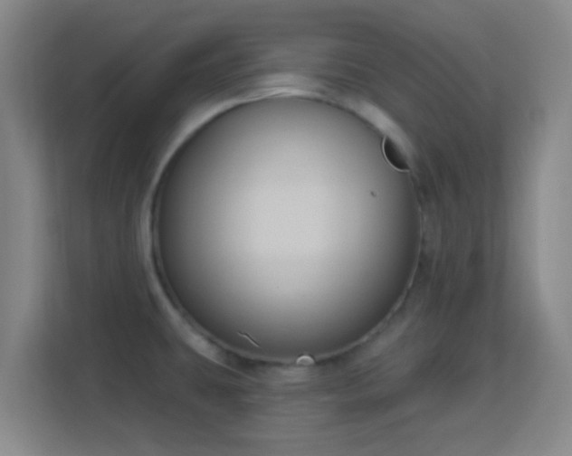 X0000113181431200909111045