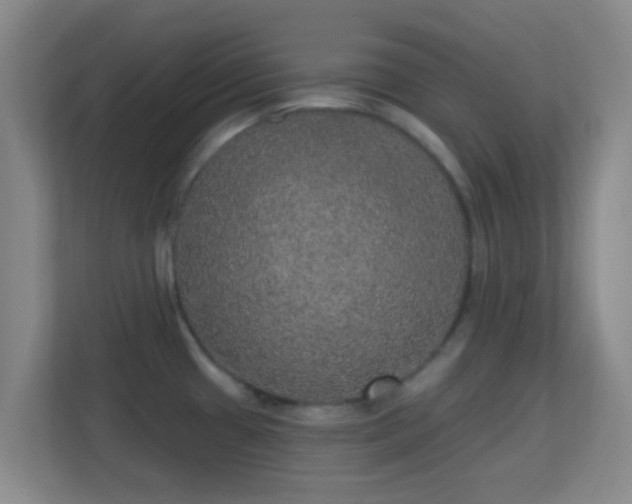 X0000113181433200909111045