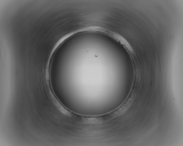 X0000113181436200909111045
