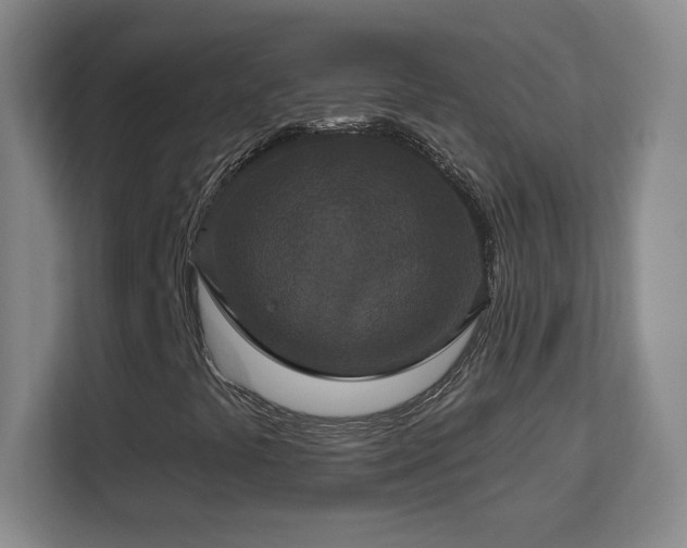 X0000113181441200909111045