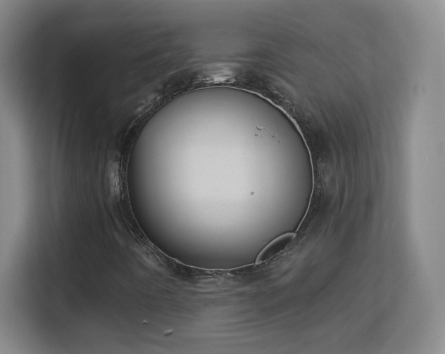 X0000113181442200909111045