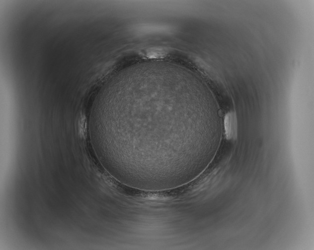 X0000113181443200909111045