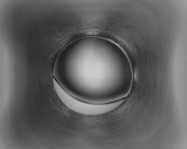 X0000113181444200909111045