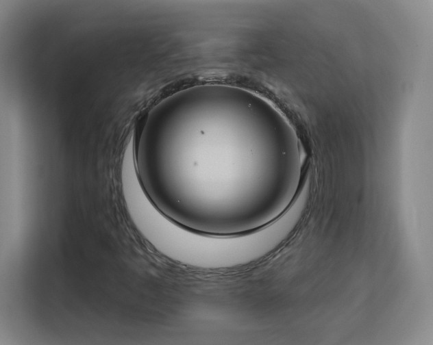 X0000113181445200909111045