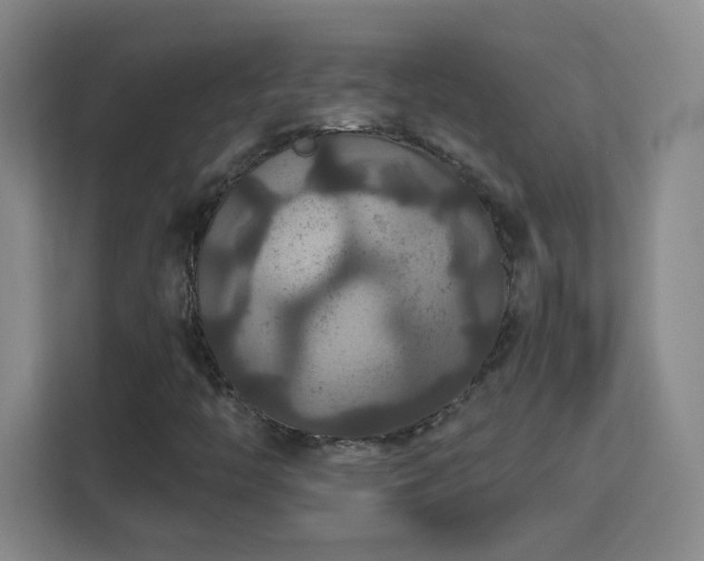 X0000113181446200909111045