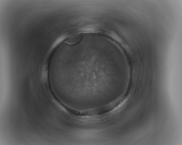 X0000113181450200909111045