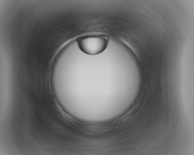 X0000113181452200909111045