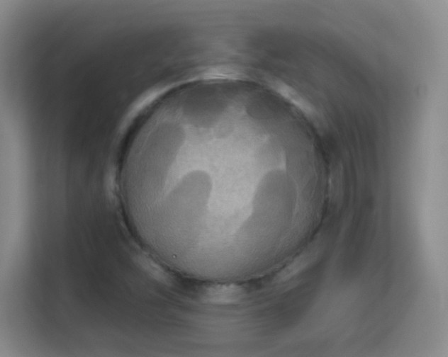 X0000113181454200909111045