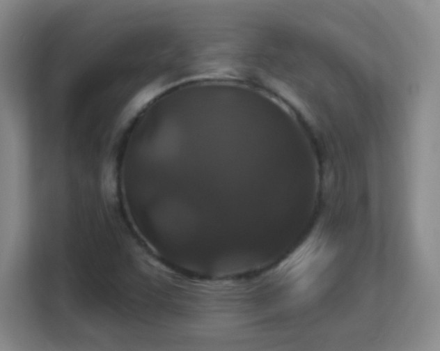 X0000113181455200909111045