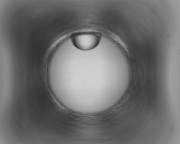 X0000113181456200909111045