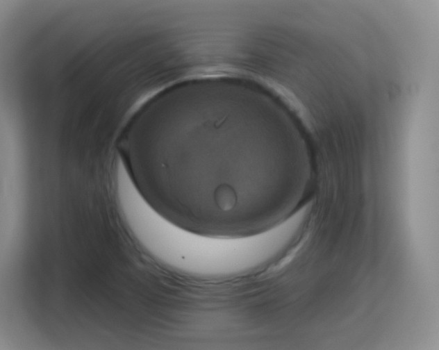 X0000113181457200909111045
