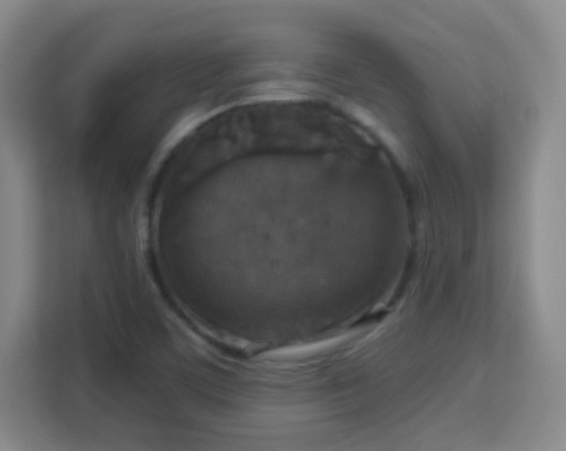 X0000113181459200909111045