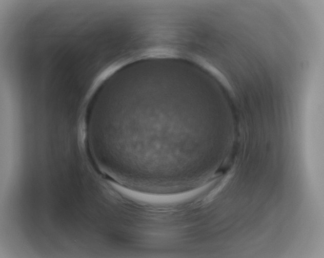 X0000113181461200909111045