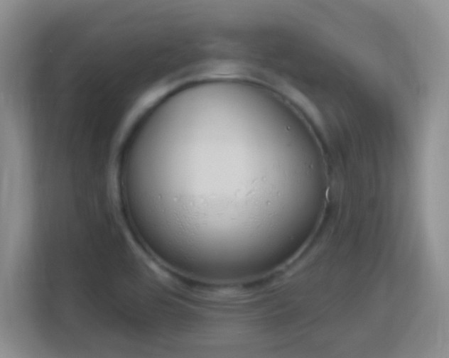 X0000113181464200909111045