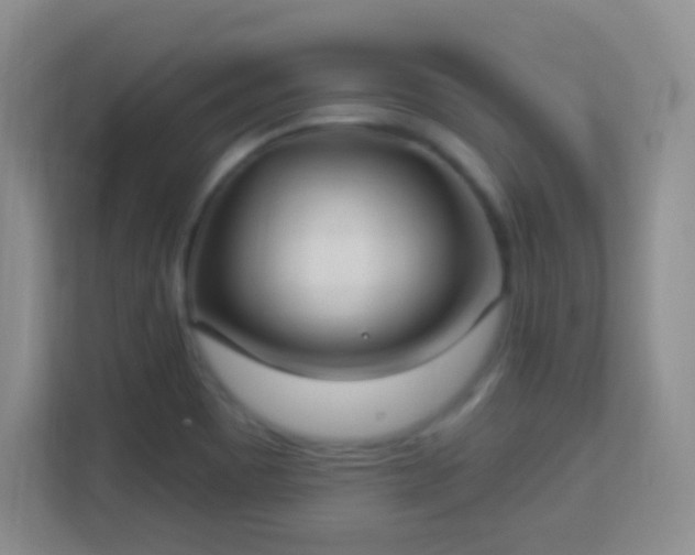 X0000113181465200909111045