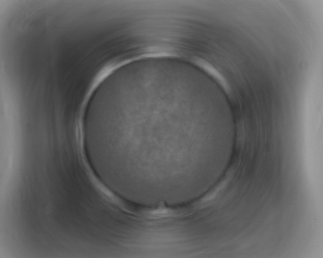 X0000113181467200909111045