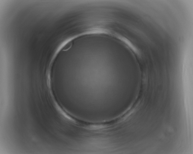 X0000113181468200909111045