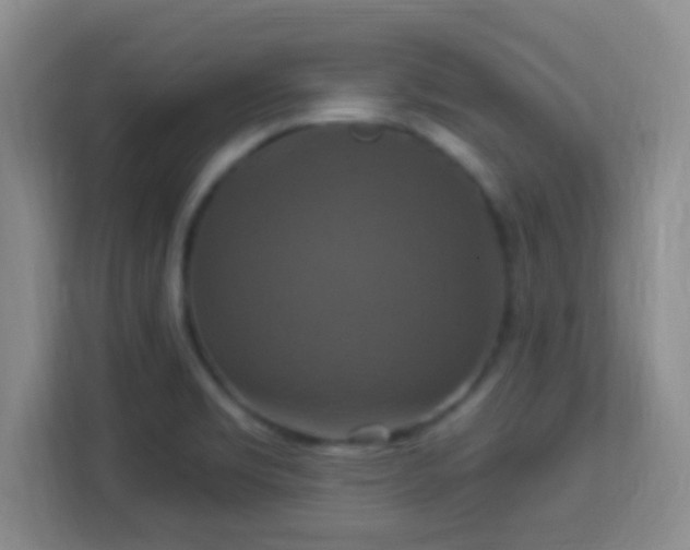 X0000113181469200909111045