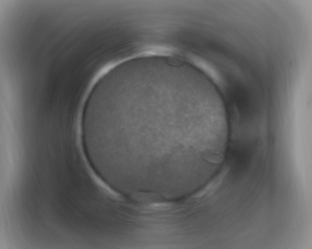 X0000113181471200909111045