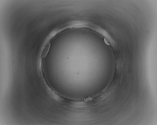 X0000113181472200909111045