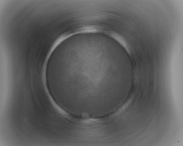 X0000113181475200909111044