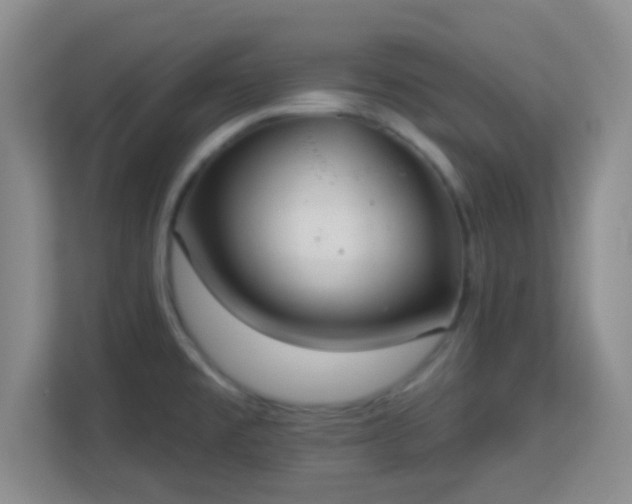 X0000113181477200909111044
