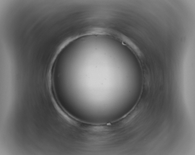 X0000113181479200909111044