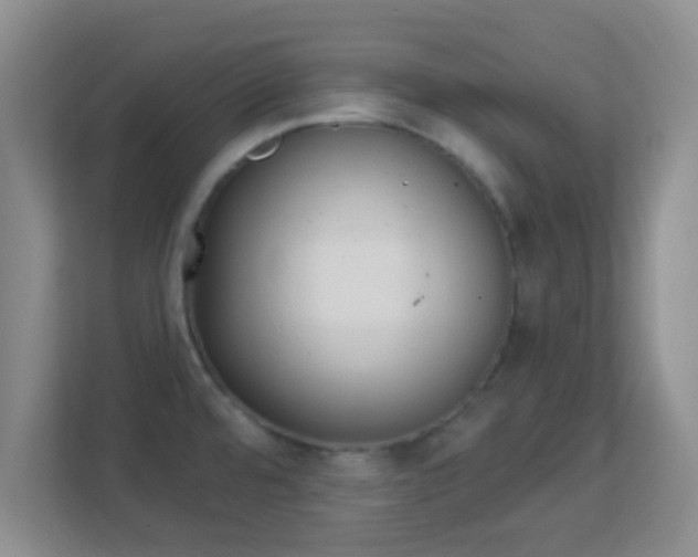 X0000113181480200909111044