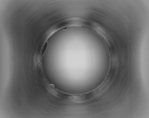 X0000113181481200909111044