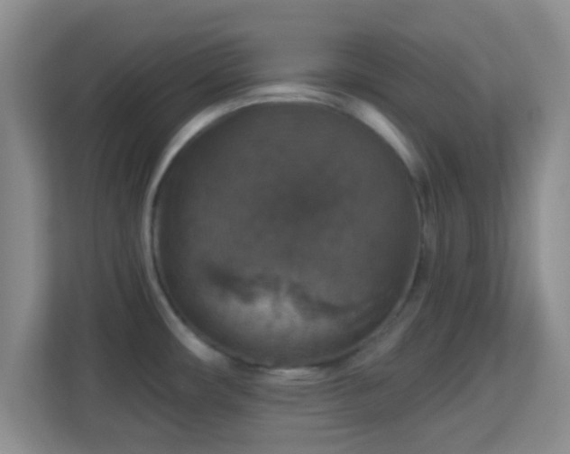 X0000113181482200909111044