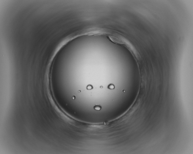 X0000113181483200909111044