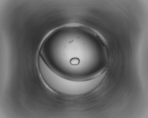 X0000113181484200909111044