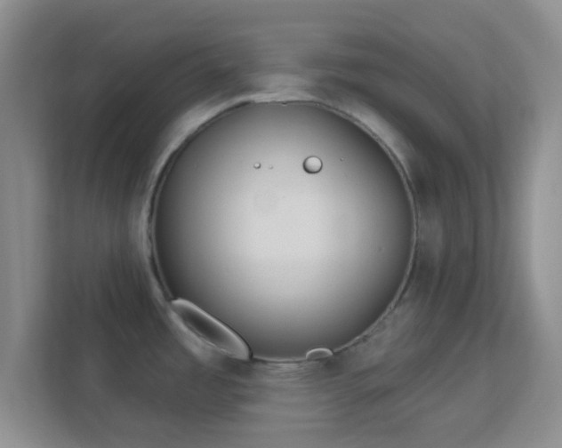 X0000113181485200909111044