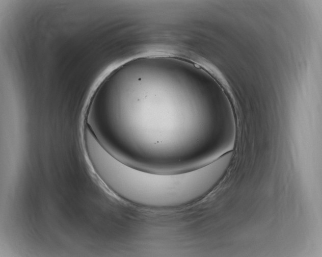 X0000113181488200909111044