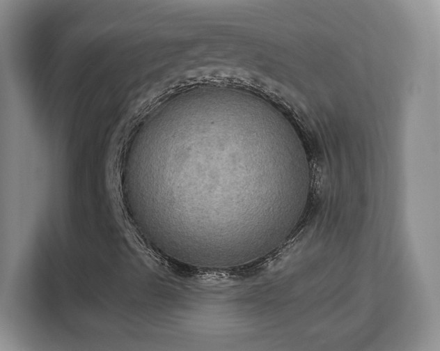 X0000113181489200909111044