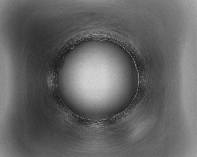 X0000113181490200909111044