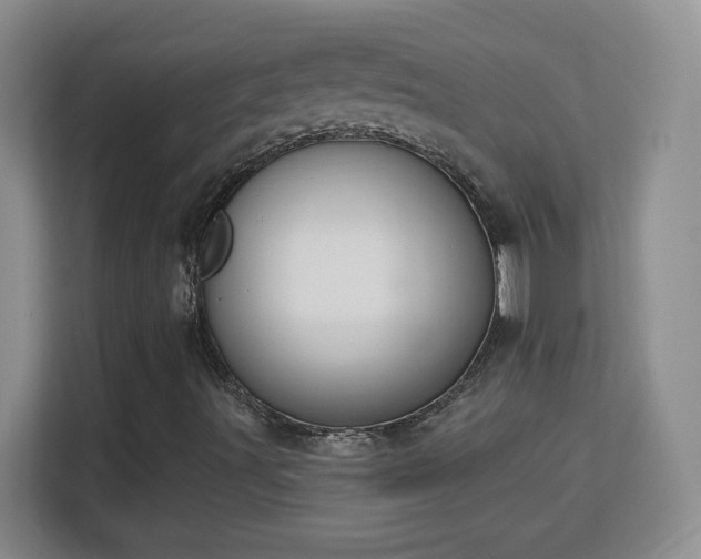 X0000113181491200909111044