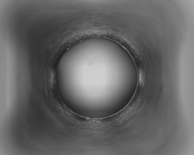 X0000113181492200909111044