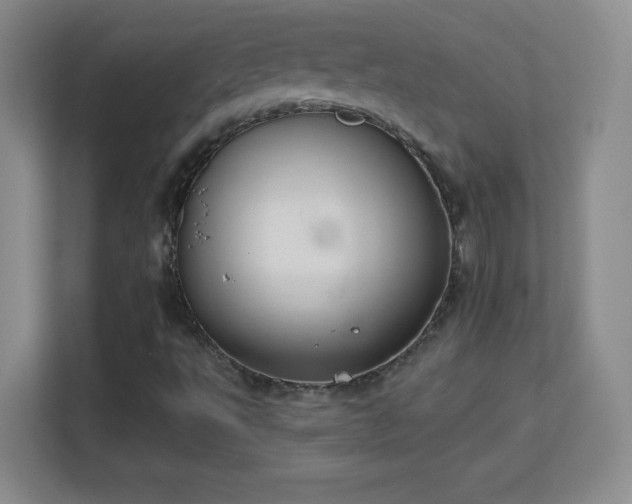 X0000113181495200909111044