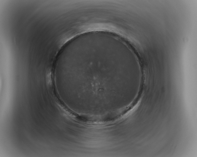 X0000113181497200909111044