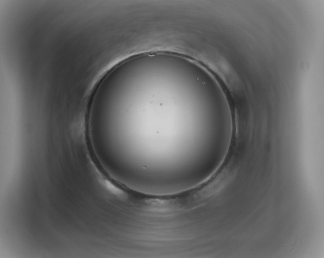 X0000113181500200909111044
