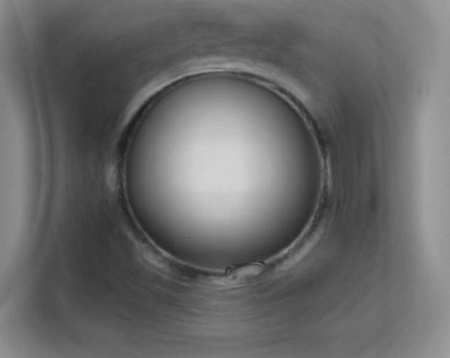 X0000113181501200909111044