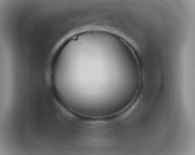 X0000113181502200909111044