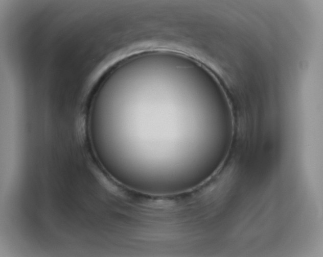 X0000113181503200909111044